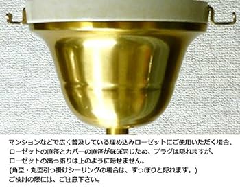 真鍮照明カバー×4個 受注製作】シーリングカバー＜φ76-タイプ2＞ / 真鍮黒染め | KUMIJI